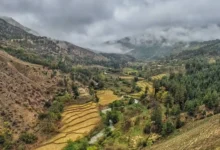 کجور مازندران: راهنمای کامل سفر به بهشت پنهان شمال ایران