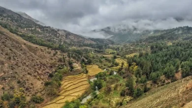 کجور مازندران: راهنمای کامل سفر به بهشت پنهان شمال ایران