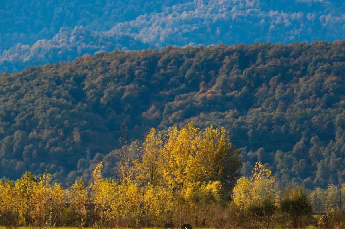 زیبایی‌های طبیعی و جاذبه‌های گردشگری چمستان