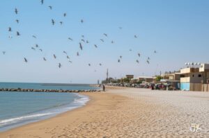 فریدونکنار: دروازه‌ای به بهشت شمال ایران