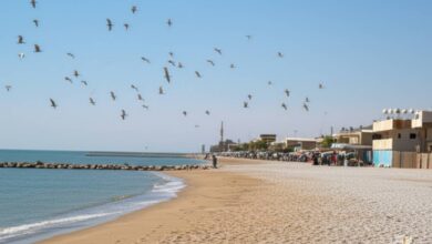 فریدونکنار: دروازه‌ای به بهشت شمال ایران