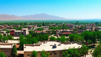 چرا امیرکلا مقصدی عالی برای سفر و زندگی در شمال ایران است؟